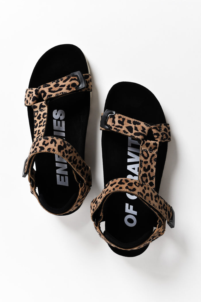 Cohen Brown Leopard Leather Velcro Sandal