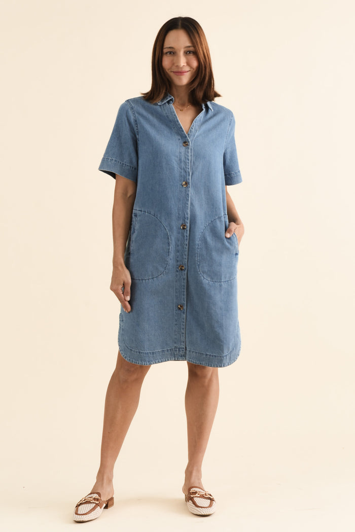 Dawson Blue Denim Button Dress,brunette model,Full Outfit,alt text|model:Cara