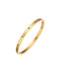 Stainless Steel CZ Bangle - Gold